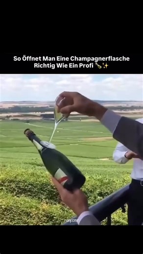 ROXANNE CRAMER | ROXY on Instagram: "Der Beitrag enthält ein 42-sekündiges Video, das eine spektakuläre Technik zum Öffnen einer gekühlten Champagnerflasche demonstriert: Man klopft mit dem Rand eines Sektglases fest gegen den Flaschenhals (die Kante unterhalb des Flaschenhalses). Durch den Innendruck zerspringt der Flaschenhals sauber, sodass man den Champagner direkt einschenken kann, ohne dass der Korken knallt. Diese Methode nutzt die Schwachstelle der Flasche an der Nahtstelle aus, wo die G