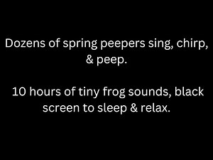 Dozens of spring peepers sing chirp & peep, 10 hours tiny frog sounds, black screen to sleep & relax
