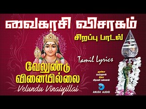 வேலுண்டு வினையில்லை | Velundu Vinaiyillai | Vaikasi Visakam Murugan Song in Tamil | Anush Audio