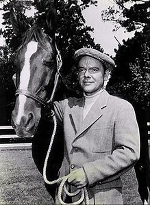 National Velvet (TV series) - Alchetron, the free social encyclopedia