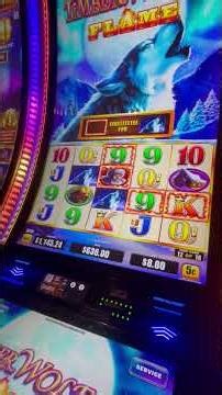 🐺 A HOWLIN GOOD BONUS ON AN $8.00 BET #slots #casino #gamble #slotmachine #slotgames