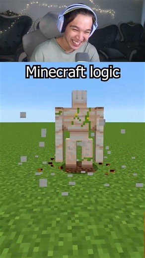 CRAZYEST minecraft logic things☠️ #minecraft #shorts