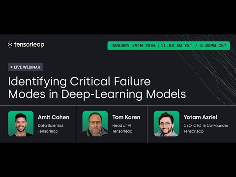Identifying Critical Failure Modes in Deep-Learning Models