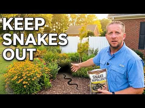 Keep Snakes Out of Your Yard With These 5 Tips