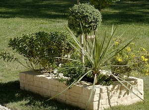 Carré d’Arc fait le mur !