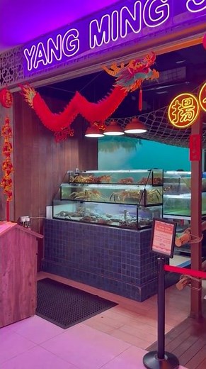 Yang Ming Seafood 🦞 at Vivo city #seafood #food #singapore