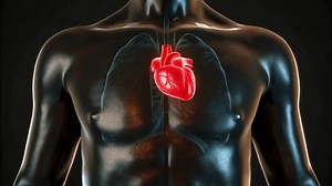 4k High Frame Rate Ultra Hd 库存影片视频（100% 免版税）3711332521 | Shutterstock