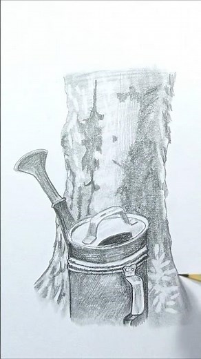 Still life pencil drawing