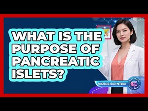 What Is the Purpose of Pancreatic Islets?