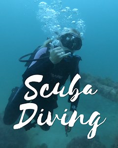 Just off the shores of America's Best Beaches you'll find some of America's best scuba diving! Come take the plunge at some of our favorite dive spots in the Gulf of Mexico! 🤟🤿 #ClearwaterBeach #Florida | Visit St. Pete-Clearwater