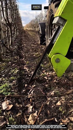 Orchard Root Tool cuts tree roots using tractor mounted blade Best for farming #tool