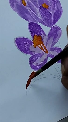 purple grace. crocus flowers #gouachepainting #shorts