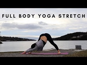 Full Body Yoga Stretch for Beginners | 20 Minute Gentle Flow