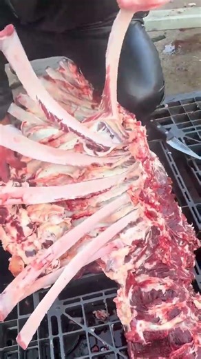 Pro Chef Skills: Beef Ribs Disassembly in Seconds