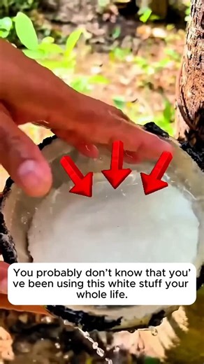 Home Gardening on Instagram: "Uses of fresh rubber #backyardgardening #gardeninglife #vegetablegardening #vegetablegarden #gardeningtips #gardeninglove #organicgardening #gardensofinstagram #gardenideas #urbangardening #gardeningistherapy #gardeninggoals #homegardening #gardeninspiration #lovegardening #gardeningisfun #countrygarden #veggiegarden #happygardening"