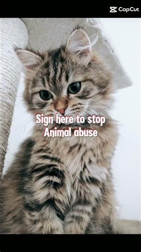 sign here to stop animal cruelty