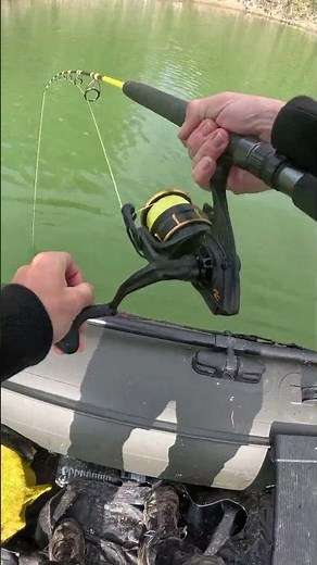 Wait for It… HAND FISHING for CATFISH 😳🎣 | One of the Most Effective fishing methods💯