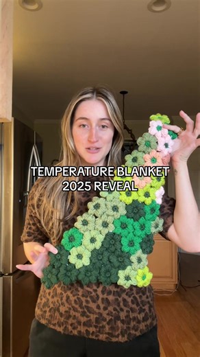 Temperature Blanket 2025 Reveal: Crochet Trends