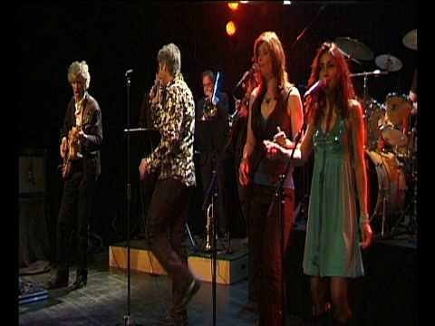 Black Cow - Stolen Dan (Steely Dan cover)