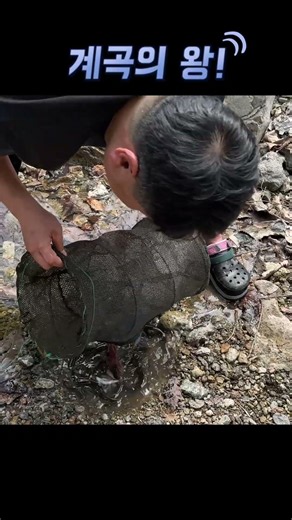 지렁이를 통발에 넣었더니.. 초대물 산메기!