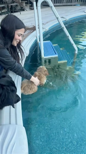 Can’t wait to take them swimming this year! #puppy