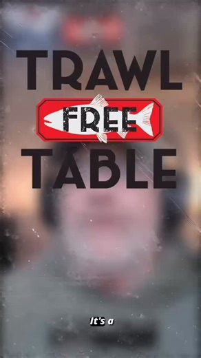 Episode 2 of the Trawl Free Table podcast series shares insights from SalmonState director Tim Bristol with his perspective on trawling developed from talking with a wide variety of people all around Alaska. Tim has nearly 30 years of experience in conservation in Alaska and his team works diligently to protect our resources. Huge thanks to them for that and for being our title sponsor of the #trawlfreetable. Find the full video/podcast on our YouTube, Spotify, Apple Podcasts and Amazon Music. |