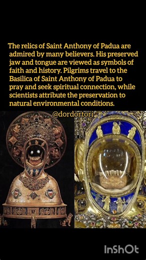 The Jawbone and Incorrupt Tongue: Myth or Reality? #historia #history #facts #museum #didyouknow