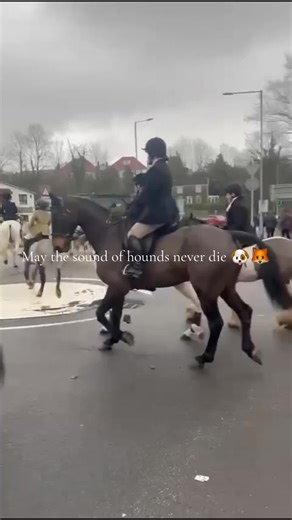 The Tradition of Hunting with Hounds