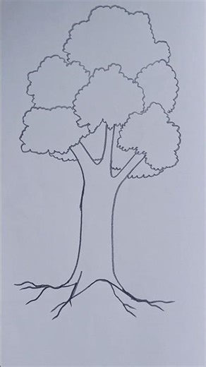 Tree Drawing #shorts #art #reels #tree #easy #pencildrawing