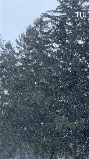 Expect snow squalls followed by single-digit to sub-zero temperatures Thursday night in the Albany area. https://www.timesunion.com/weather/article/coldest-temperatures-season-expected-thursday-21222946.php?utm_campaign=trueanthem&utm_medium=social&utm_source=facebook | Times Union