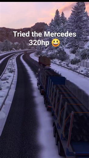 Driving a Mercedes Benz 320 HP pulling a B-double was a bad idea on the convoy with my teammates. I was only allowed to overtake downhill and the rest is history. #reelsfb #EuroTruckSimulator2 #ETS2 | African Logistics