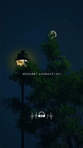 Dewane Hum Nahi Hote 💗 #love #trending #song #edit #lyrics