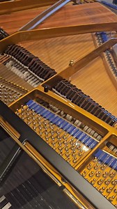 Bluthner PH Grand Piano in Bat Yam | Pianomovers.co.il