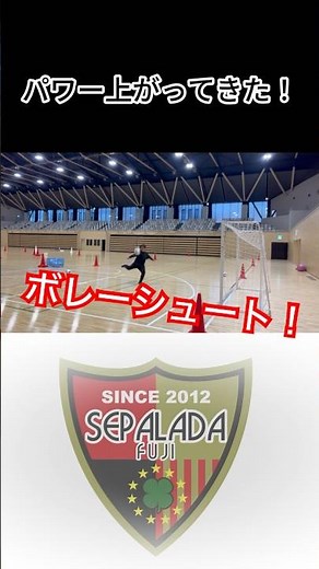 みんなの気持ち良いプレーは？？#サッカー#soccer #SEPALADA#sepalada#ゴール集#ボレー