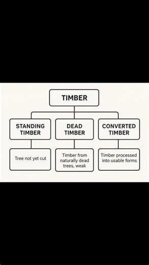 Timber in Construction | Types, Properties, & Uses of Timber | Civil Engineering Materials #viral