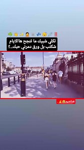 تصاميم فيديوهات ستوريات انستا احترافية