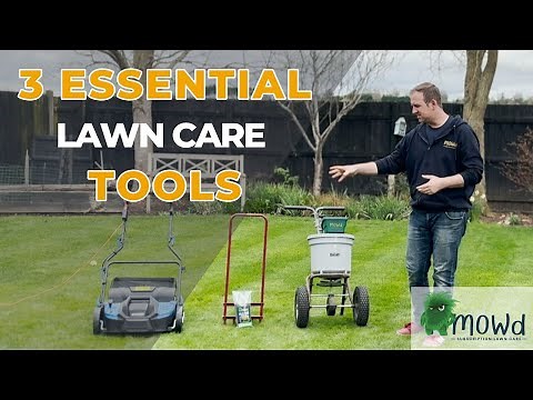 3 Essential Lawn Tools For Every Gardener!