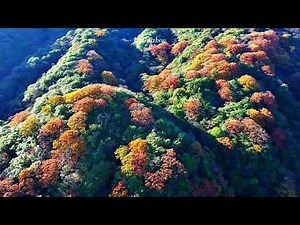 Nature's Palette Spilled Over Leigong Mountain