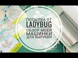 Машинка для вырубки Cricut Cuttlebug. Посылка и тестирование ножей от LadyBug