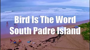 Explore South Padre Island with SPI Life - South Padre Island Life. | SPI Life - South Padre Island Life