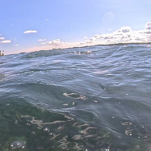 139 reactions · 11 comments | Why are anglers ditching those big...