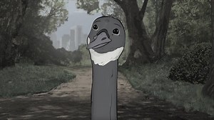 5.1K views · 207 reactions | "There's a whole world out there and we've never seen it." Coming up on Animals., Friday at 11:30/10:30c on HBO... | Animals | Facebook