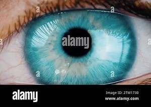 Winged human soul. Animated 4K video