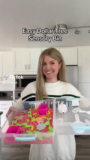 Dollar Tree Sensory Bin for Fun Playtime