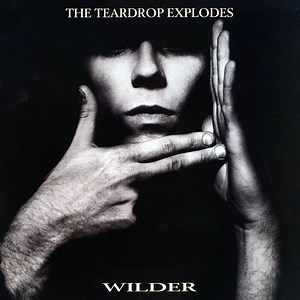 The Teardrop Explodes - Wilder