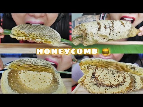 SAS-ASMR EATING RAW HONEYCOMB 🍯| Satisfying Asmr |only bits