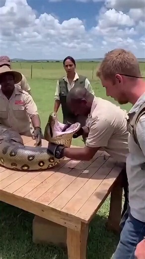 Why are people very fearless?😳😱