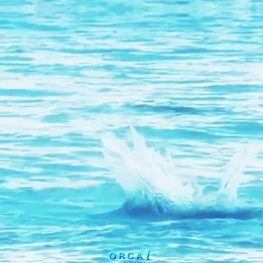 Dolphins doing a back flip