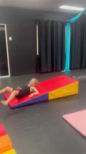 𝕃𝕠𝕪𝕒𝕝𝕥𝕪 𝔻𝕒𝕟𝕔𝕖 ℂ𝕠 ♕ on Instagram: "Iggy trying out Miss Mischa’s obstacle course before mini acro 🤸🏼"