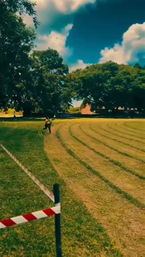 *What a ROAR-some day for the Roshval Lions!*🦁🔥 Our champions raced their hearts out at the Cross Country Meet, proudly securing 2 out of 8 spots in the Boys’ competition 🏃‍♂️💨 and 2 out of 8 in the Girls’ competition 🏃‍♀️🌟 — strength, stamina, and pure Lion pride on display! 💛🖤 And the brilliance didn’t stop there… ♟️👑 We claimed 1st Place at the Chess Triangular 🥇♟️ — proving our Lions conquer both the track and the board! Speed. Strategy. Strength. *That’s the Roshval way*🦁✨ | Rosh